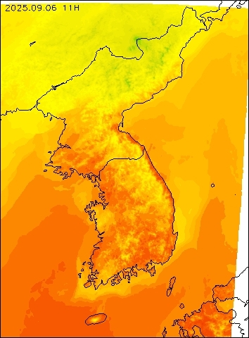 2025-09-06 11 : 00