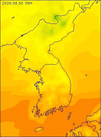 2026-08-30 09 : 00