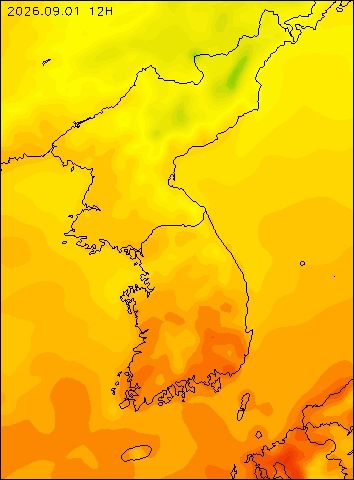 2026-09-01 12 : 00