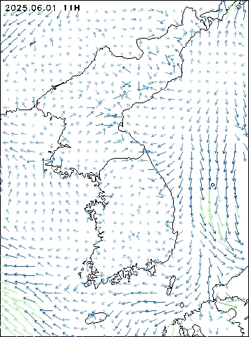 2025-06-01 11 : 00
