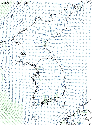 2025-08-02 14 : 00