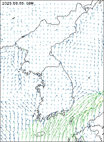 2025-08-05 08 : 00