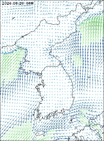 2026-08-26 06 : 00